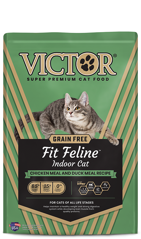 Order cat food 2025